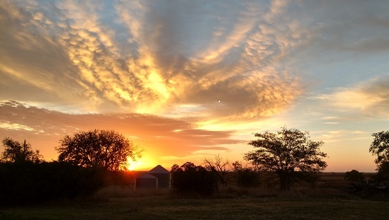 2023 UGUIDE Week 5 Crop & Pheasant Harvest Report
